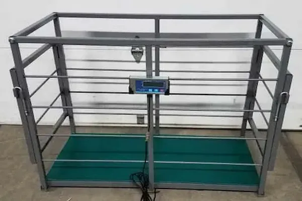 باسکول دام کش ۳۵۰ کیلوقفس دار پایه دار + خرید